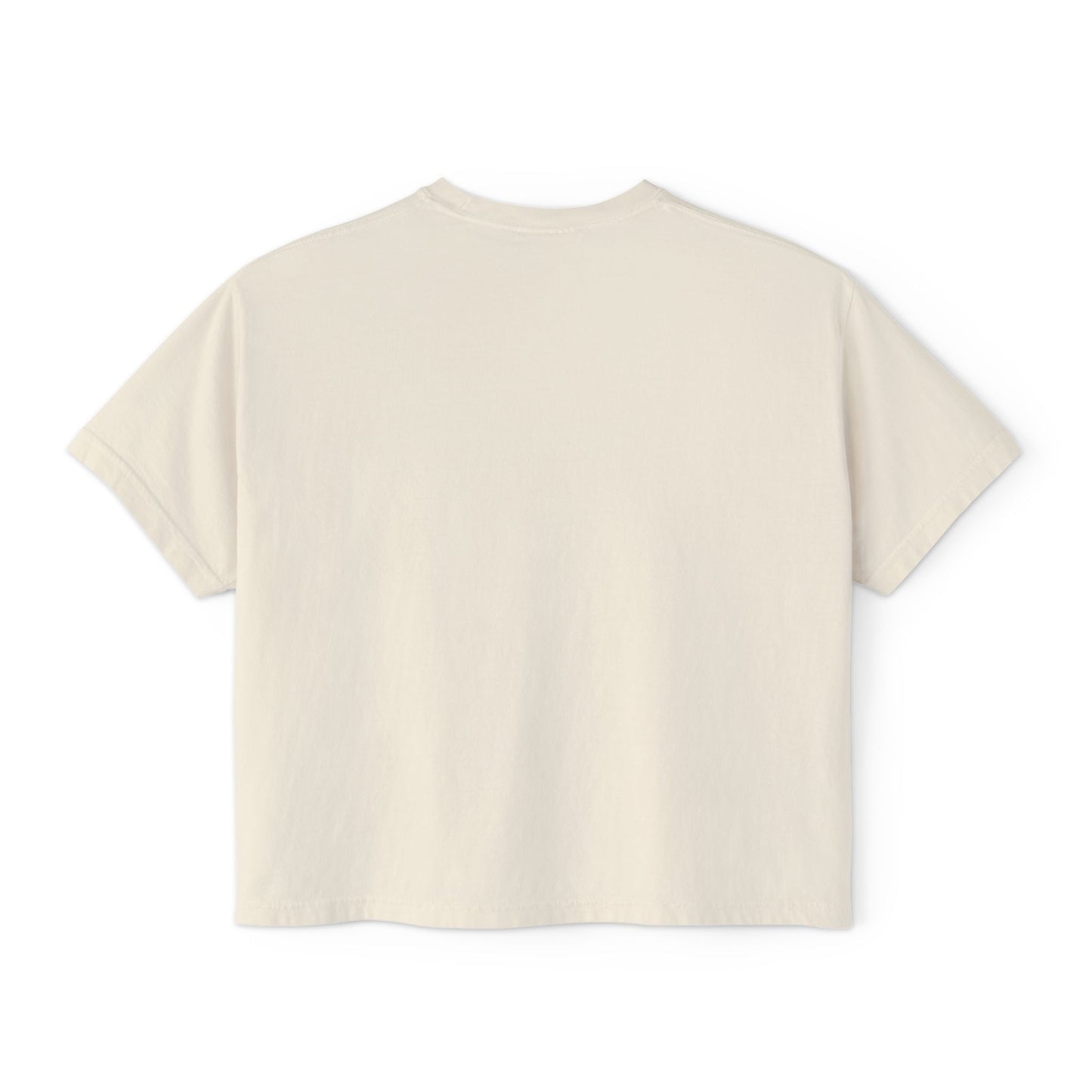 Monarch Flag Boxy Tee