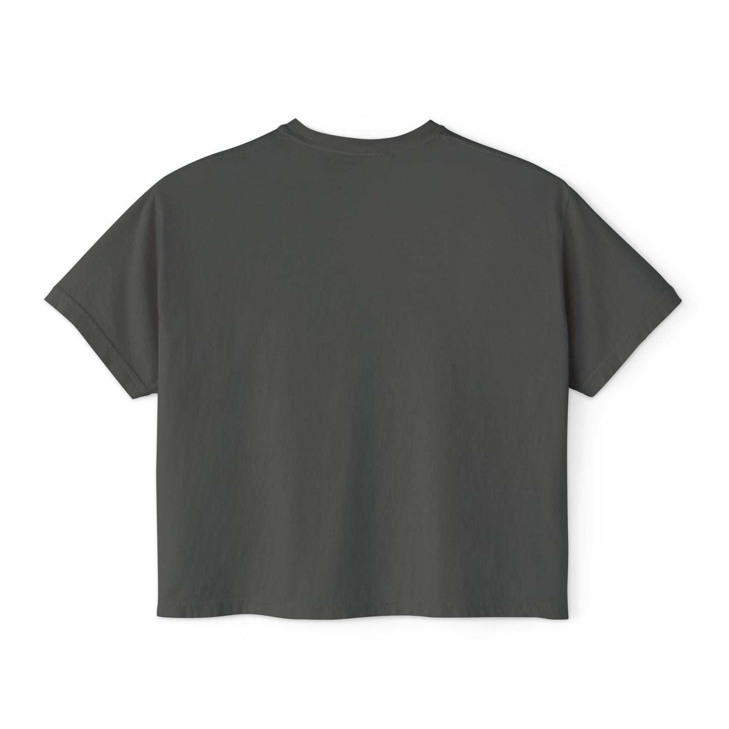 Monarch Flag Boxy Tee
