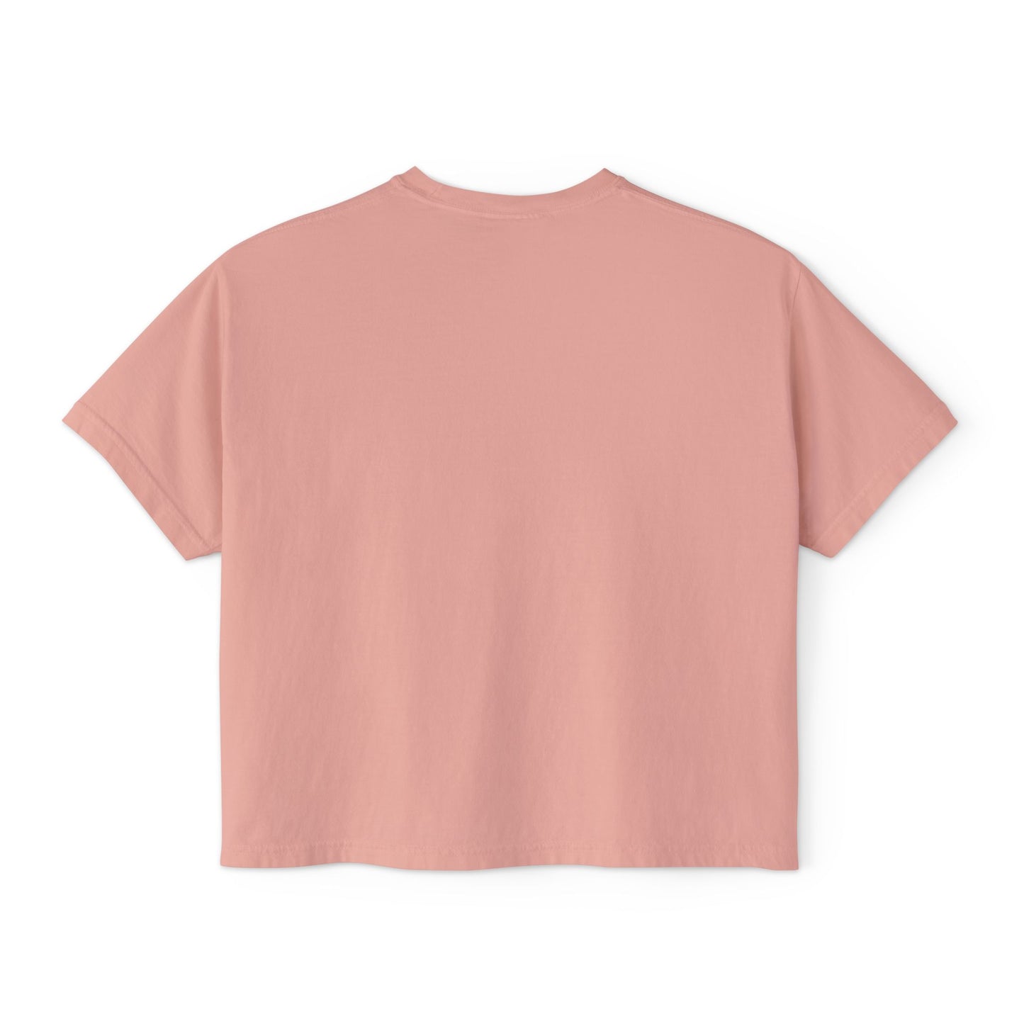 Monarch Flag Boxy Tee